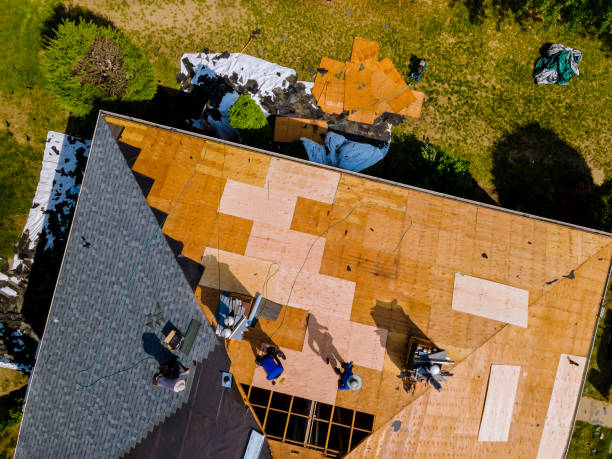 Best Storm Damage Roof Repair  in Winsted, MN