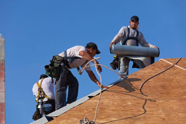 Best Emergency Roof Repair  in Winsted, MN