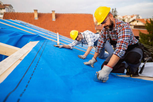 Quick and Trustworthy Emergency Roof Repair Services in Winsted, MN